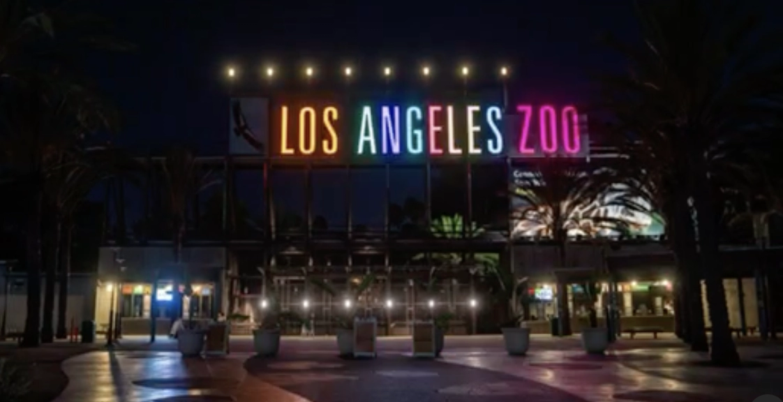 LA Zoo lit up in LA for All Colors