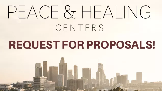 Los Angeles city skyline. Text reads "Peace & Healing Centers Request for Proposals!"